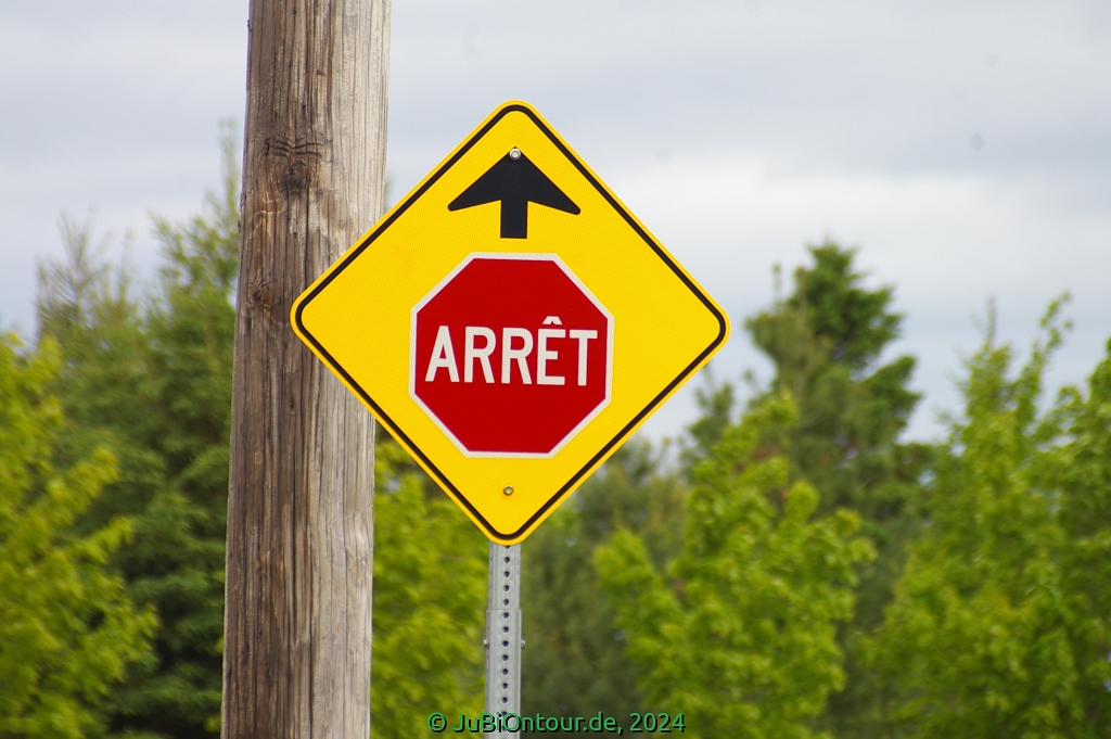 Vergrößern 20240528_IMGP5000.jpg