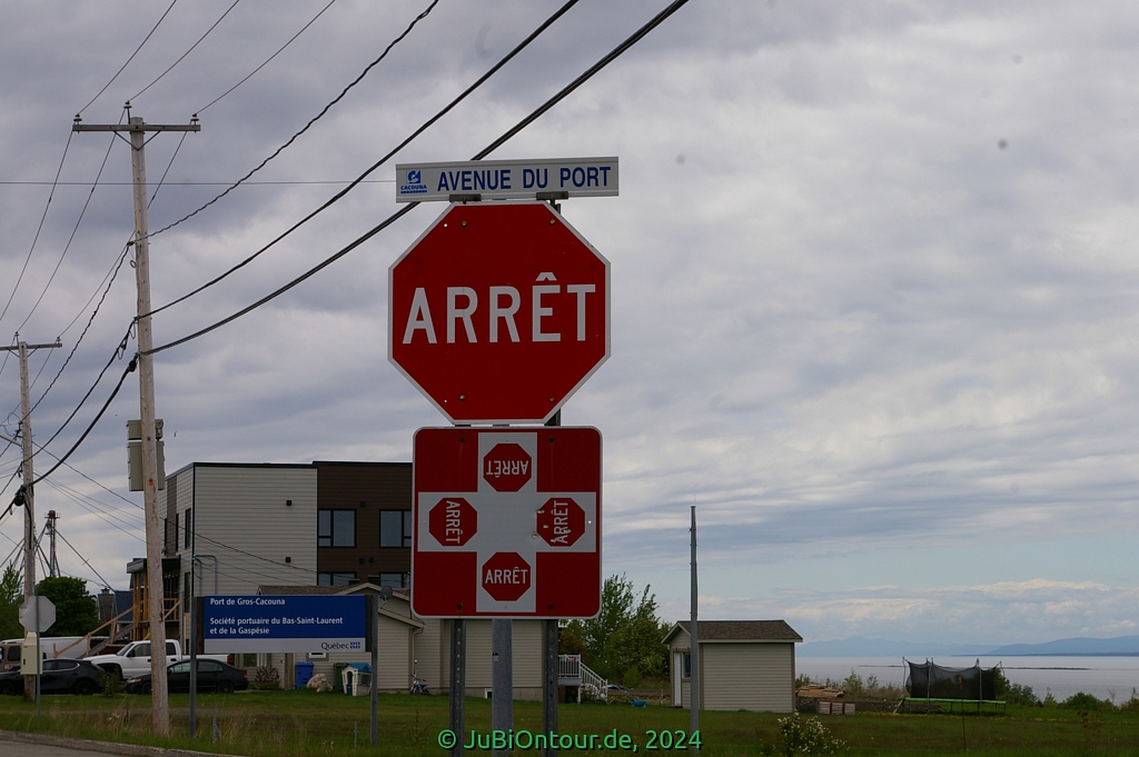 Vergrößern 20240528_IMGP5001.jpg