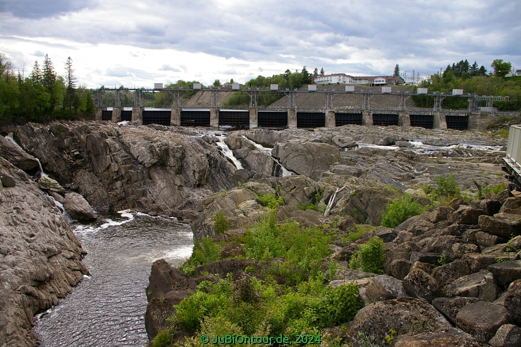Vergrößern 20240531_IMGP5056.jpg