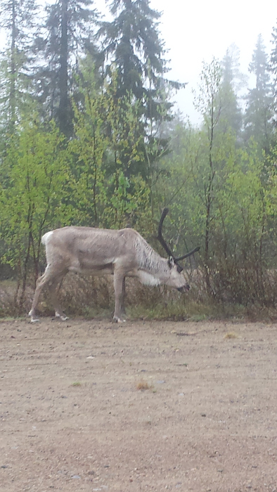 Vergrößern 20190604_094735.jpg