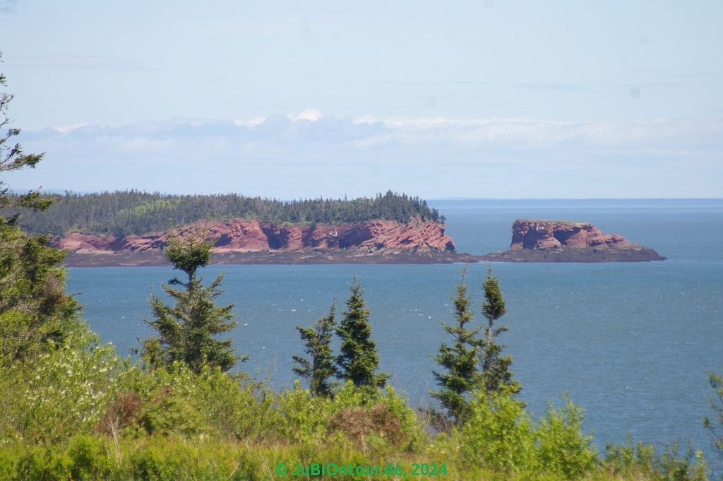 Vergrößern 20240603_IMGP5106.jpg