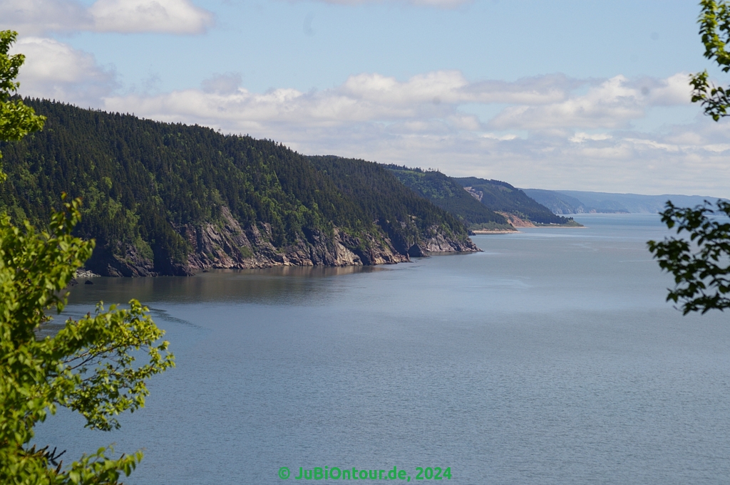 Vergrößern 20240604_IMGP5118.jpg