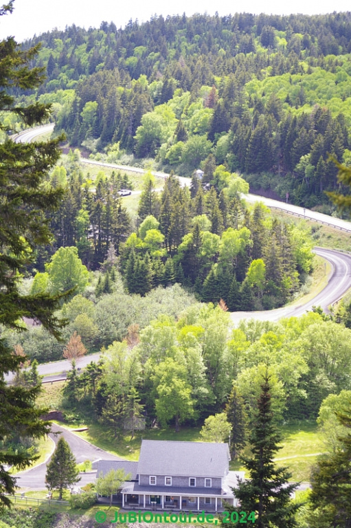 Vergrößern 20240604_IMGP5154.jpg