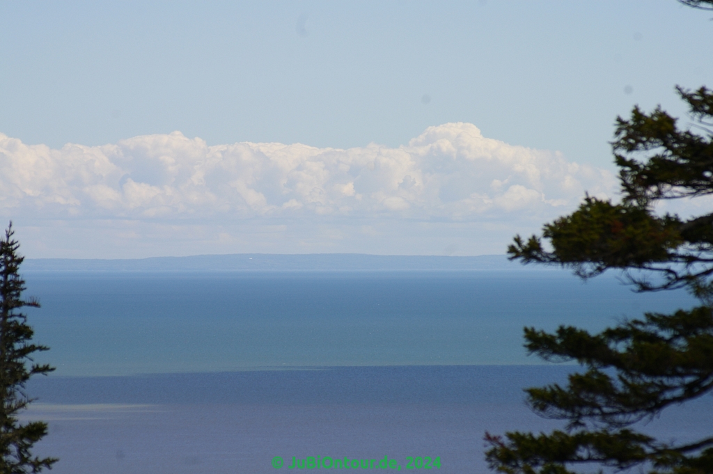 Vergrößern 20240604_IMGP5155.jpg