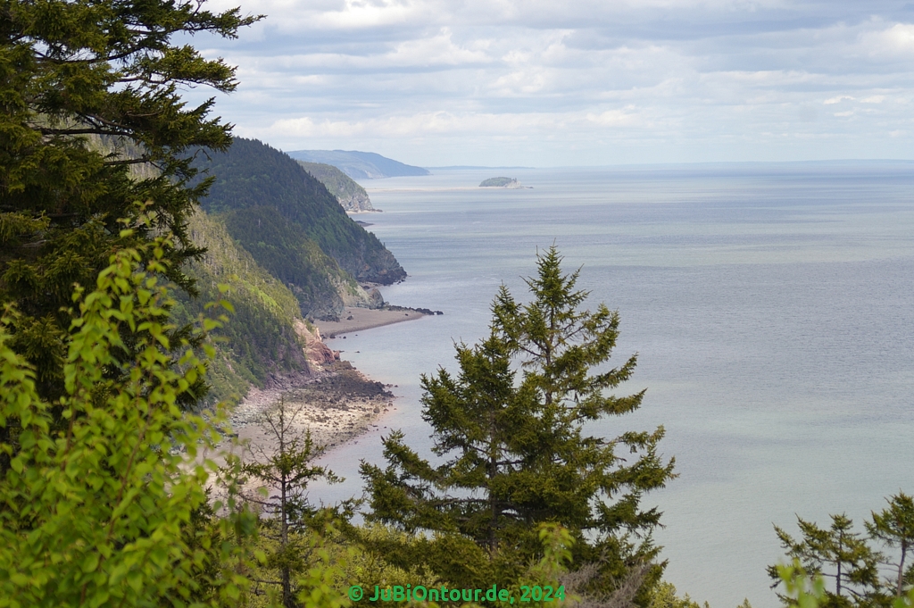 Vergrößern 20240604_IMGP5169.jpg