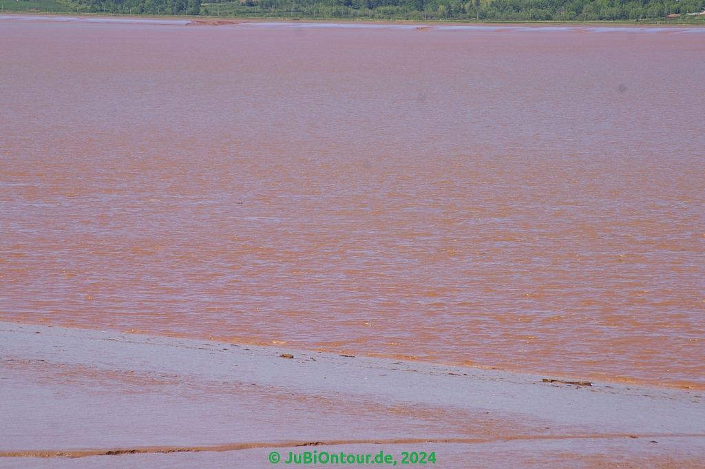 Vergrößern 20240605_IMGP5172.jpg
