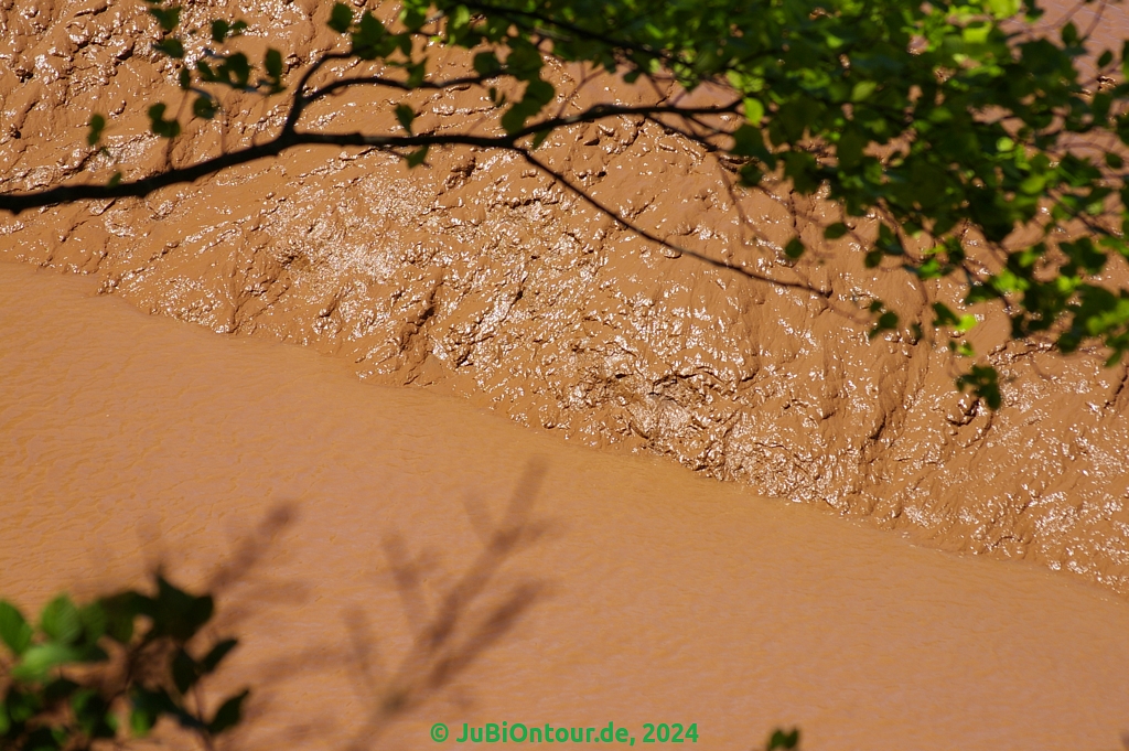 Vergrößern 20240605_IMGP5173.jpg