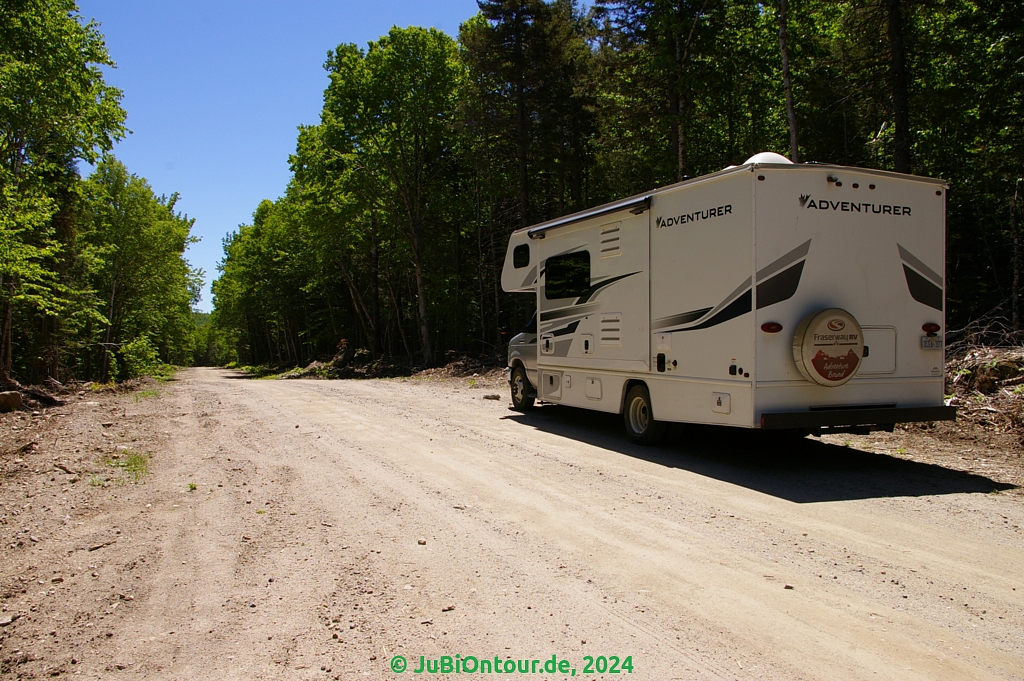 Vergrößern 20240602_IMGP5102.jpg