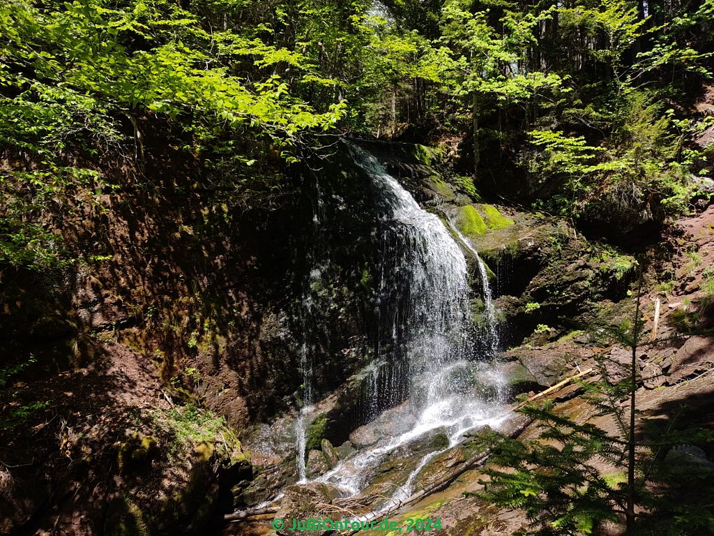 Vergrößern 20240604_122516.jpg