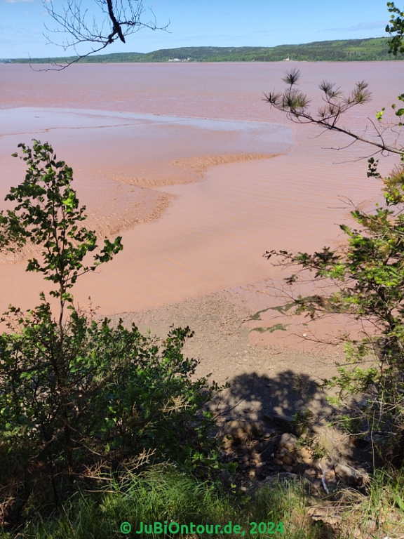 Vergrößern 20240605_142808.jpg