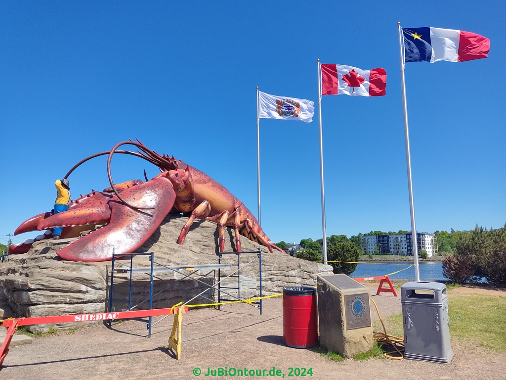 Vergrößern 20240606_152001.jpg