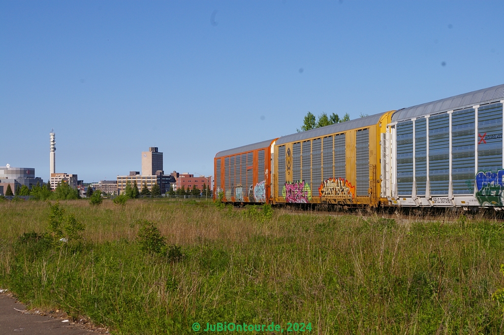 Vergrößern 20240605_IMGP5176.jpg