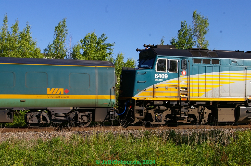 Vergrößern 20240605_IMGP5186.jpg