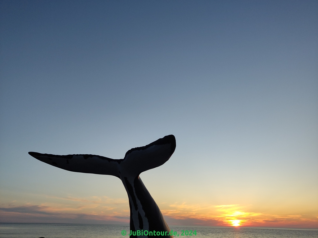 Vergrößern 20240613_205403.jpg