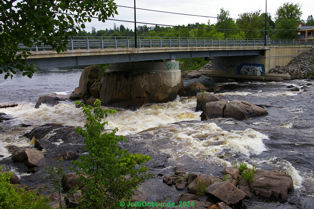 Vergrößern 20240617_IMGP5292.jpg