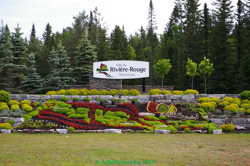 Vergrößern 20240617_IMGP5302.jpg