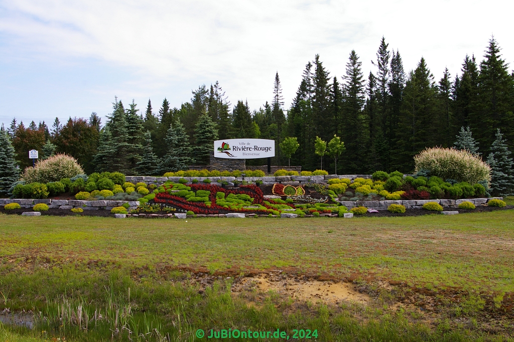 Vergrößern 20240617_IMGP5303.jpg