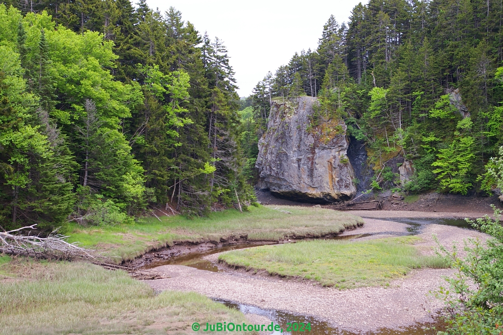 Vergrößern 20240607_IMGP5188.jpg