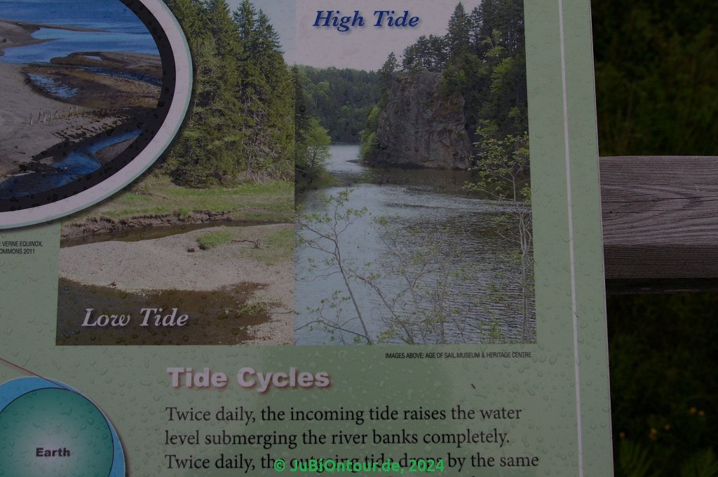 Vergrößern 20240607_IMGP5190.jpg