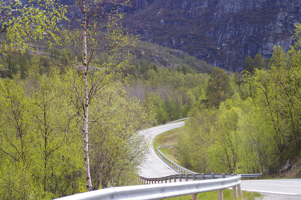 Vergrößern 20190605_IMGP2126.JPG