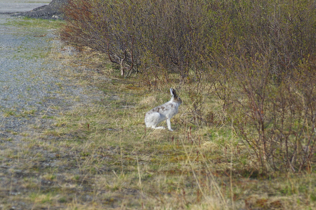 Vergrößern 20190605_IMGP2140.JPG