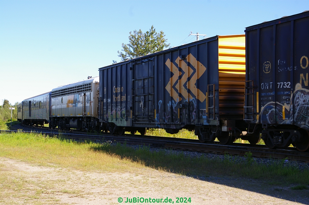 Vergrößern 20240620_IMGP5391.jpg