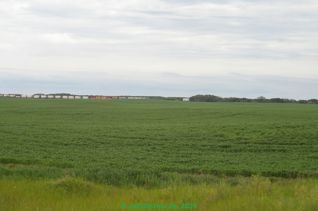 Vergrößern 20240701_IMGP5527.jpg