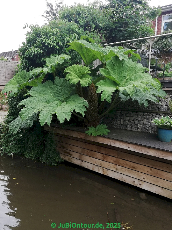 Vergrößern IMG_20250530_112636.jpg