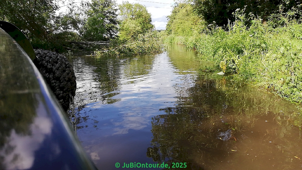 Vergrößern IMG_20250601_163119.jpg