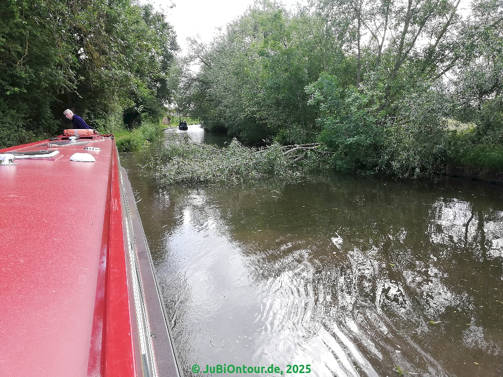 Vergrößern IMG_20250601_163208.jpg