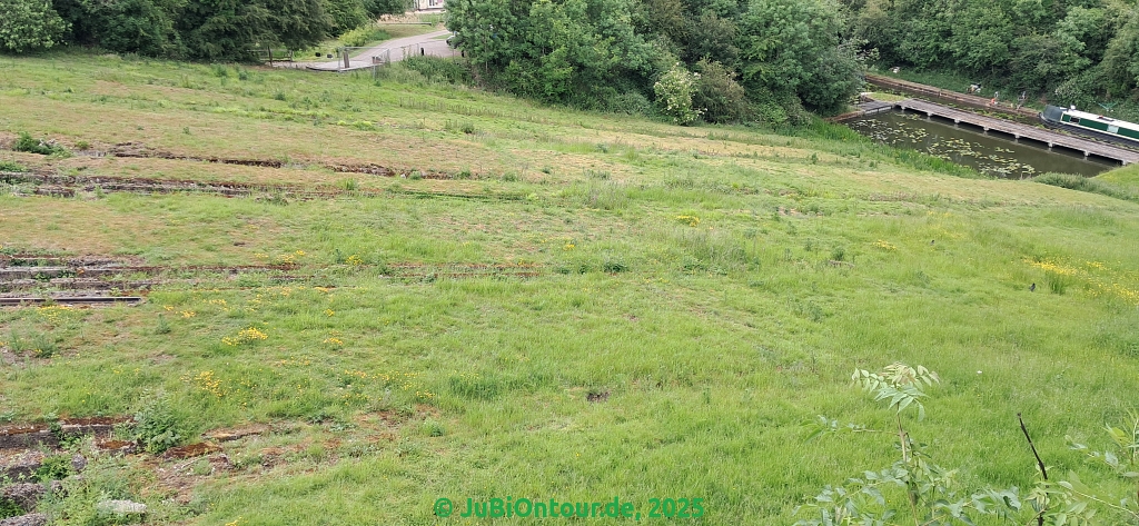 Vergrößern 20250606_184654.jpg