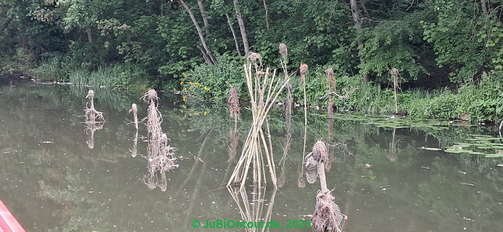 Vergrößern 20250609_131800.jpg