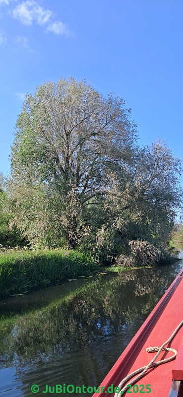 Vergrößern 20250610_172259.jpg