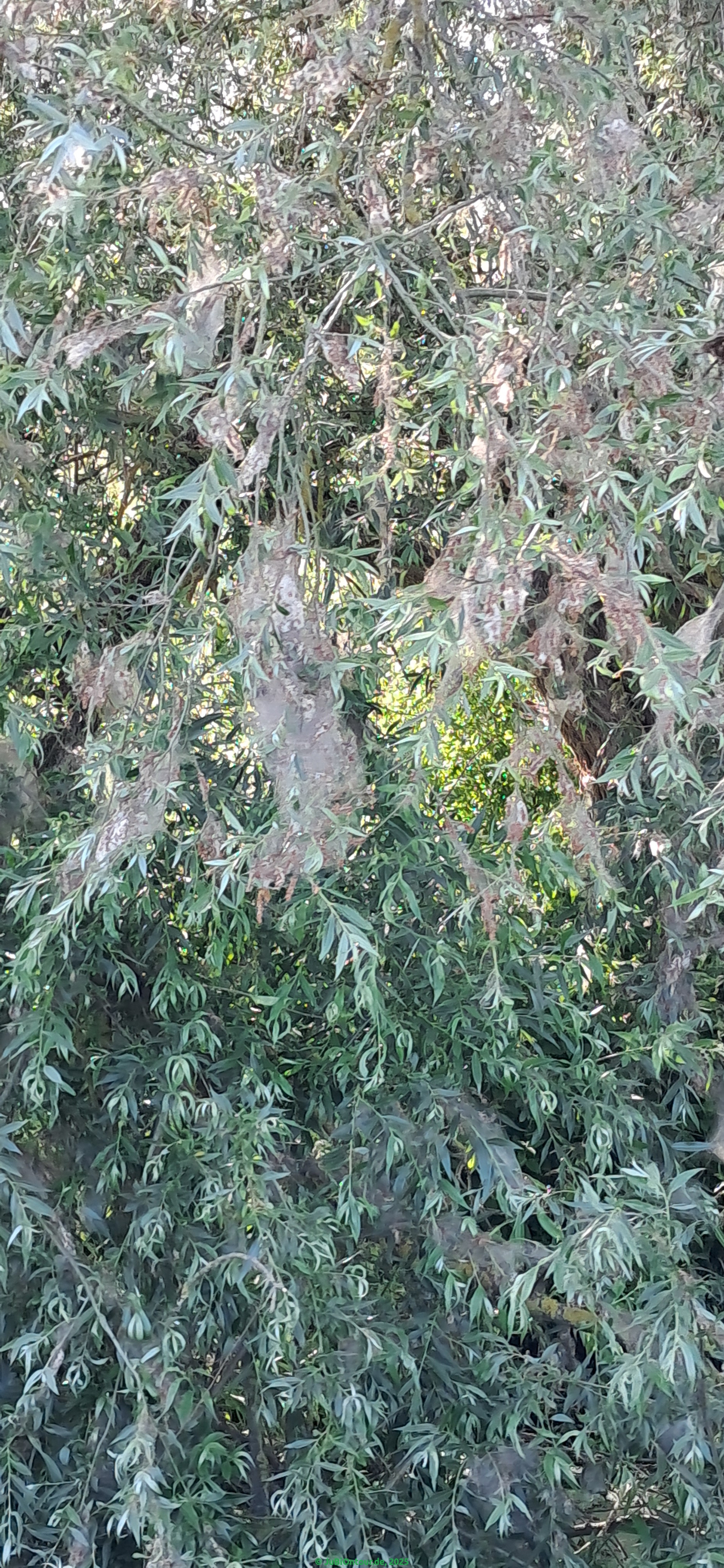 20250610_172352.jpg