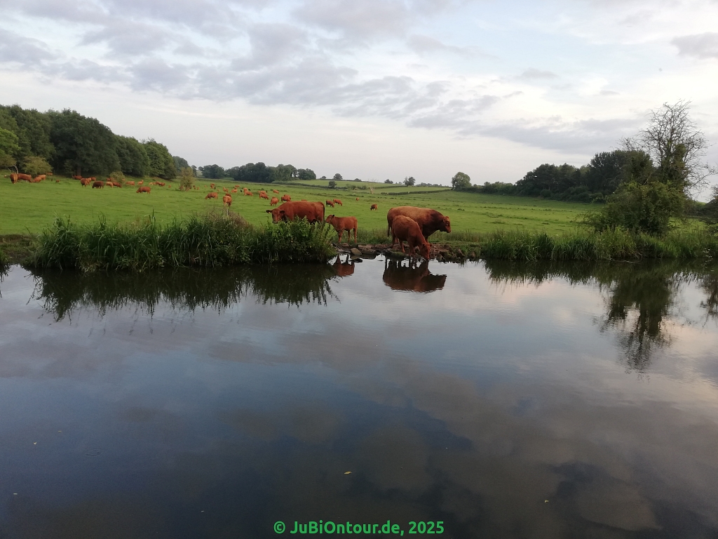 Vergrößern IMG_20250616_210853.jpg