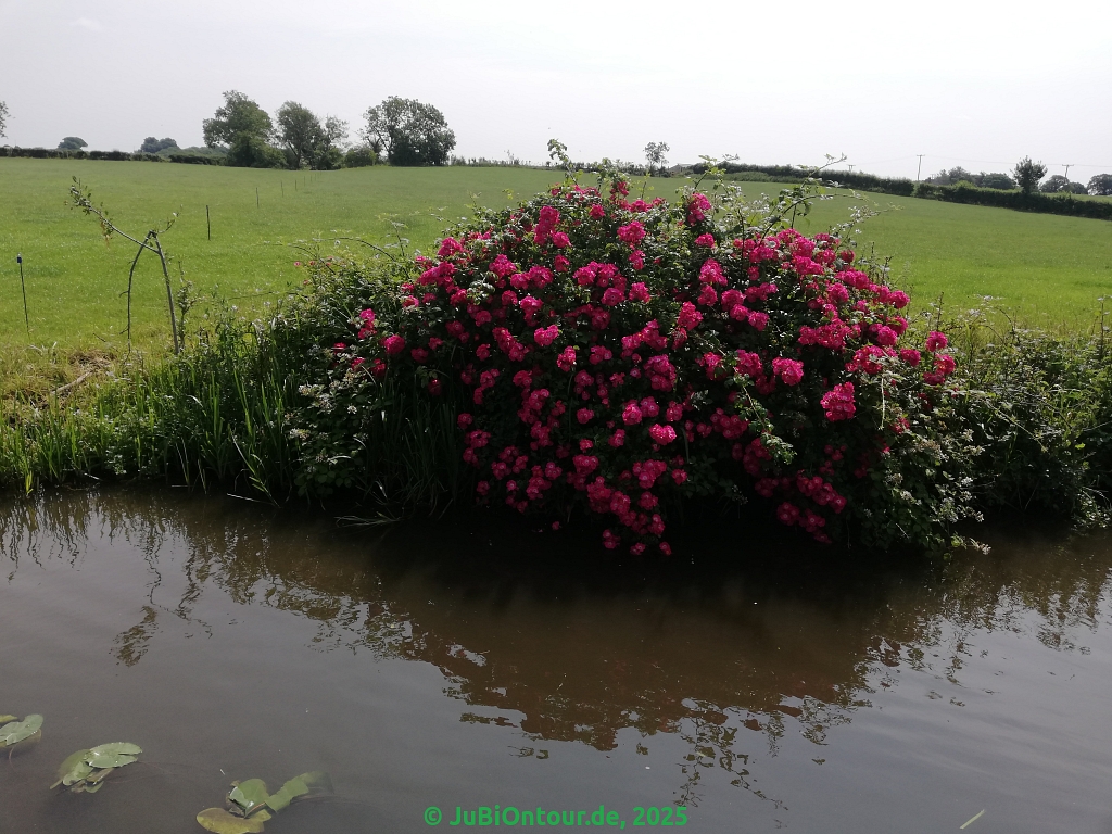 Vergrößern IMG_20250617_111403.jpg