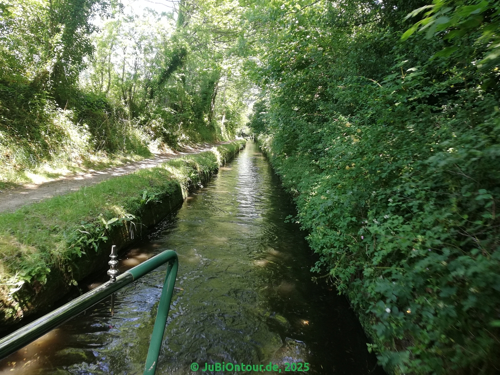 Vergrößern IMG_20250618_133708.jpg