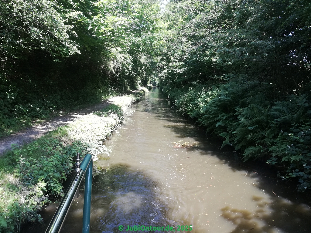 Vergrößern IMG_20250618_133937.jpg