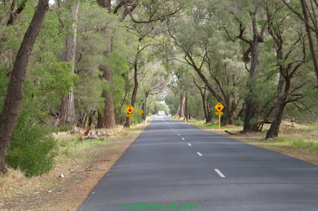 Vergrößern 20260425_IMGP5821.jpg
