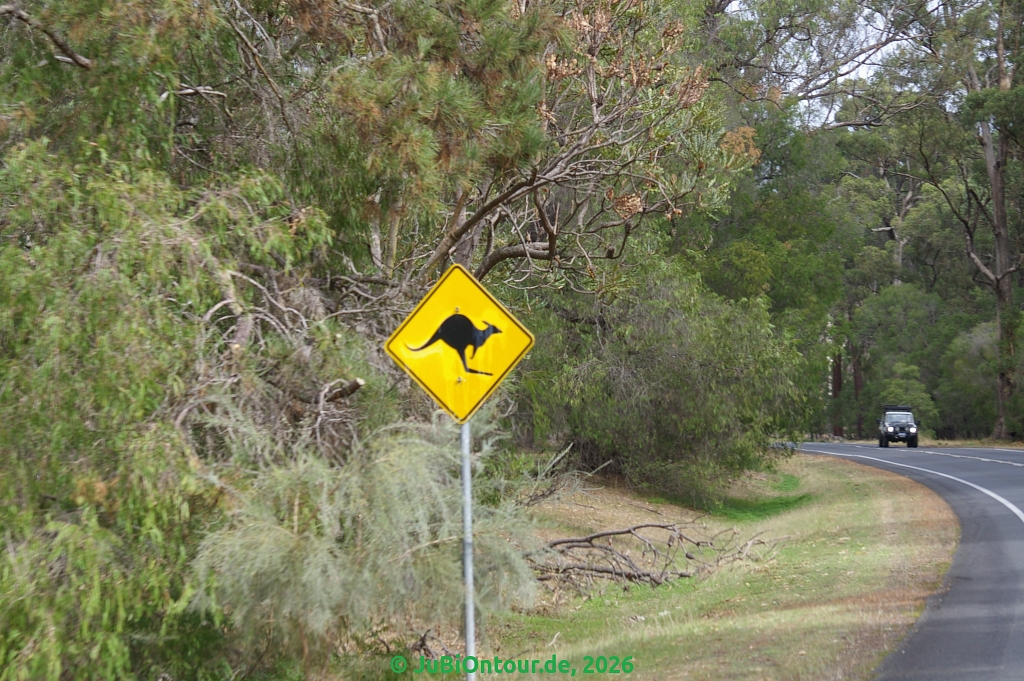 Vergrößern 20260425_IMGP5824.jpg