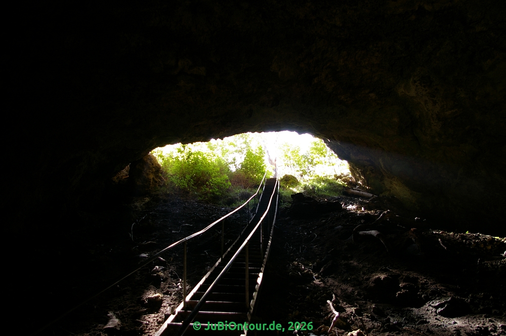 20260426_06.jpg