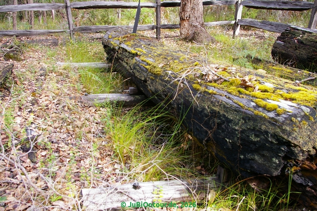 20260428_PEM_21.jpg
