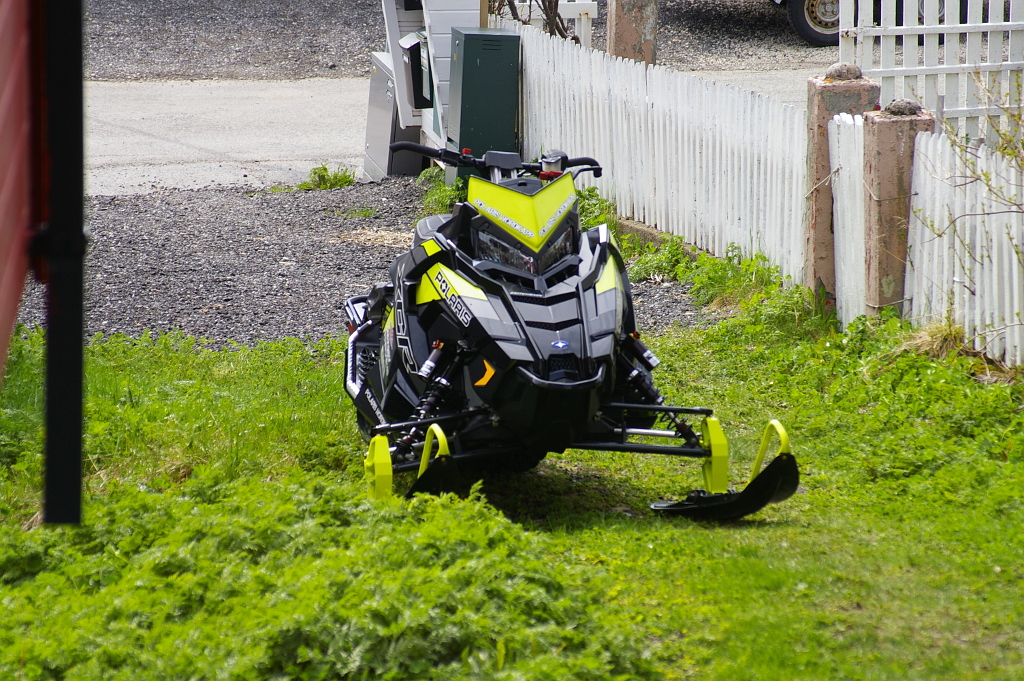 Vergrößern 20190607_IMGP2296.JPG