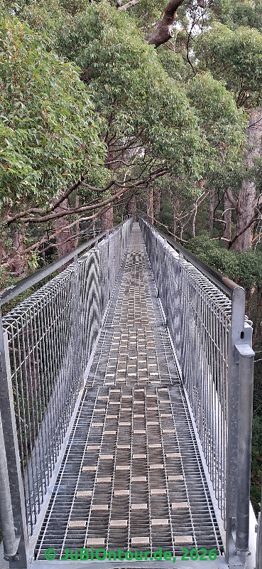 20260429_120809.jpg
