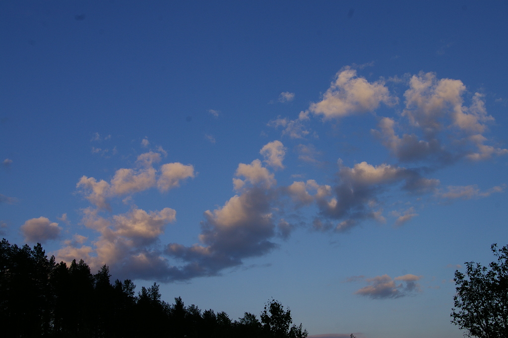 Vergrößern 20190609_IMGP2320.JPG
