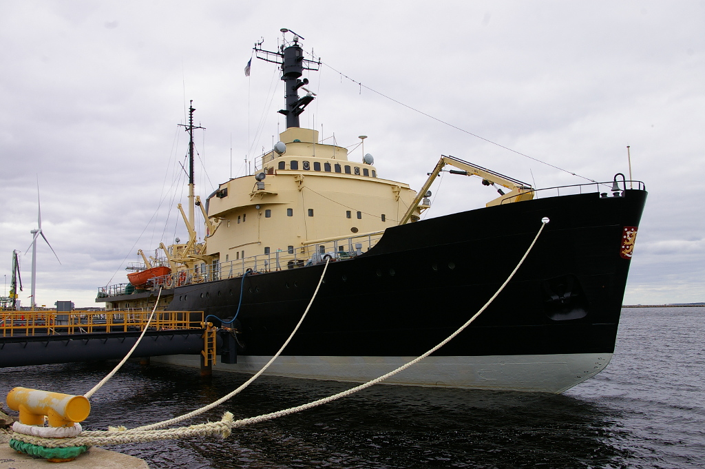 Vergrößern 20190611_IMGP2325.JPG