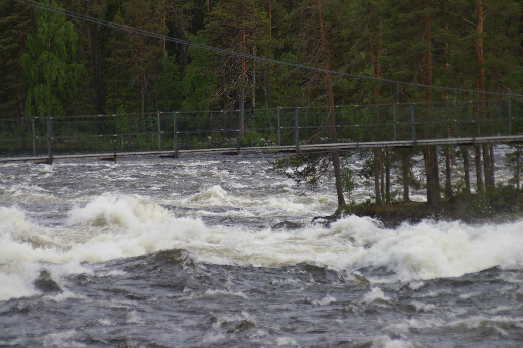 Vergrößern 20190612_IMGP2341.JPG