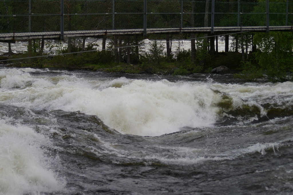 Vergrößern 20190612_IMGP2342.JPG