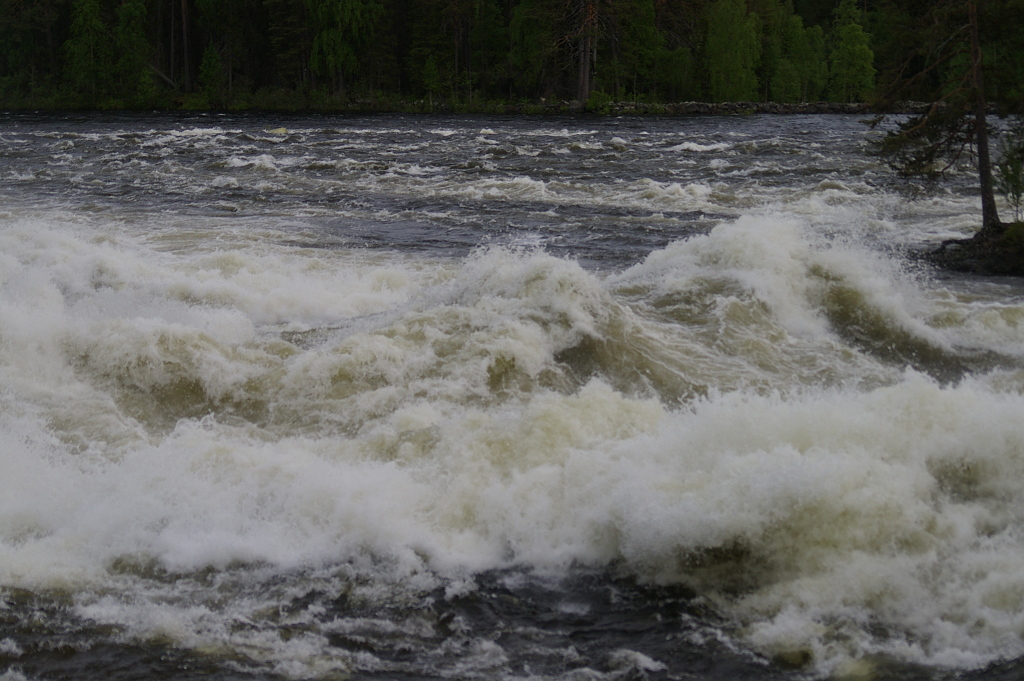 Vergrößern 20190612_IMGP2343.JPG