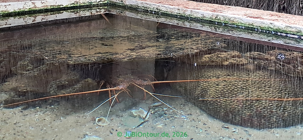 Vergrößern 20260528_121507.jpg